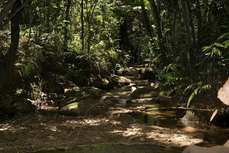 Hotel Fazenda Paraiso Da Serra Congonhas  Exterior foto